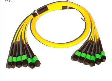 MTP SM 72Cores Fanout Patchcord