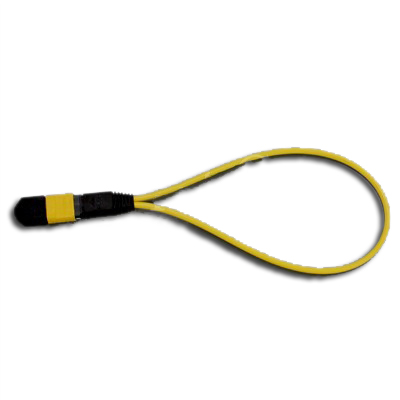 MTP loopback patch cord