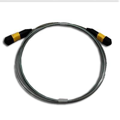 MTP LOW Ribbon Fiber Patch Cord