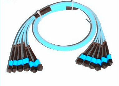 MTP OM4 Fanout Patchcord